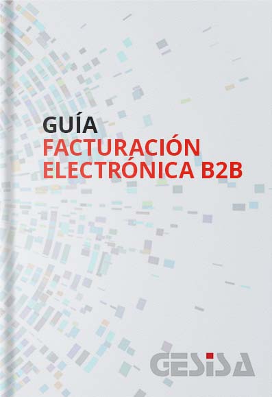 Guía Facturación Electrónica B2B